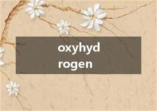oxyhydrogen是什么意思