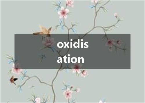 oxidisation是什么意思