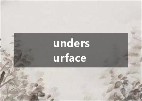 undersurface是什么意思