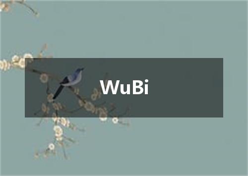 WuBi是什么意思