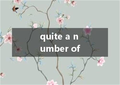 quite a number of是什么意思