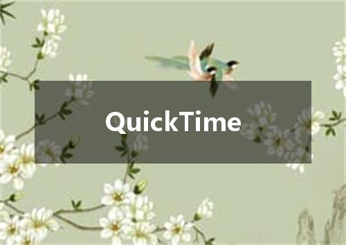 QuickTime是什么意思