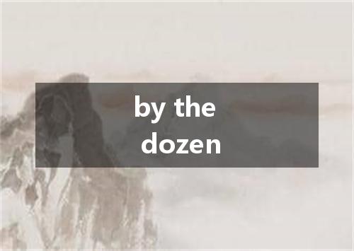 by the dozen是什么意思