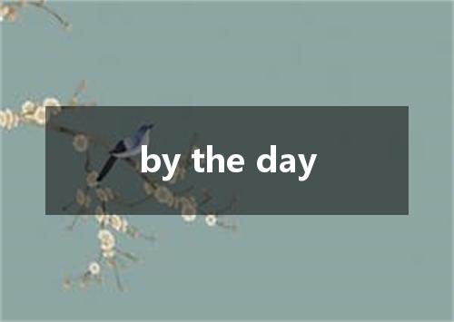 by the day是什么意思