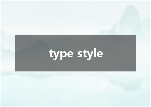 type style是什么意思
