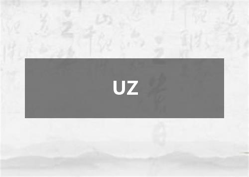 UZ是什么意思