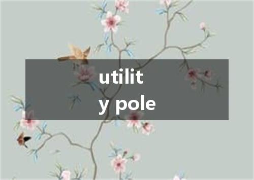 utility pole是什么意思