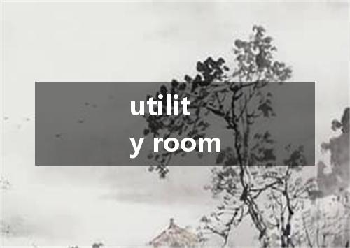 utility room是什么意思