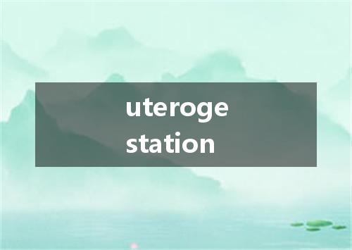 uterogestation是什么意思