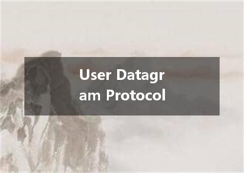 User Datagram Protocol是什么意思