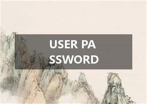 USER PASSWORD是什么意思