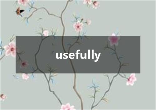 usefully是什么意思