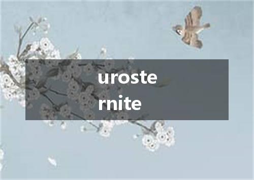 urosternite是什么意思