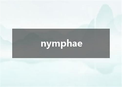nymphae是什么意思