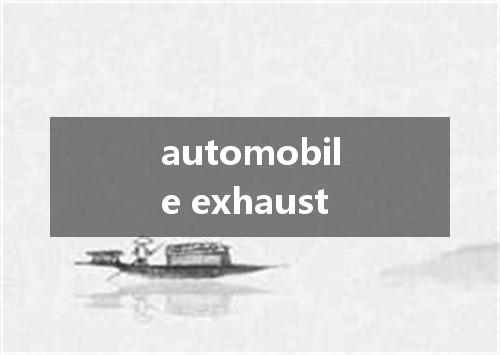 automobile exhaust是什么意思