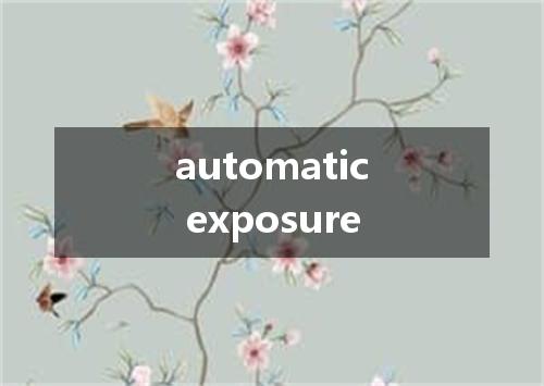 automatic exposure是什么意思