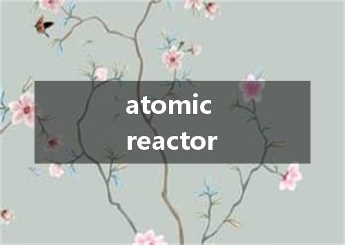 atomic reactor是什么意思