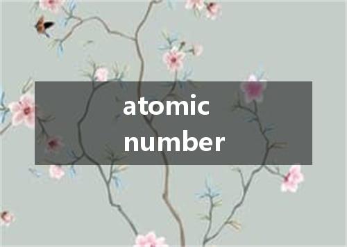 atomic number是什么意思