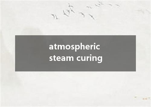 atmospheric steam curing是什么意思