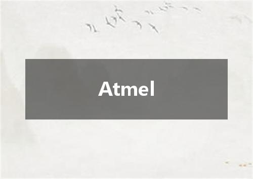Atmel是什么意思
