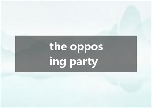 the opposing party是什么意思