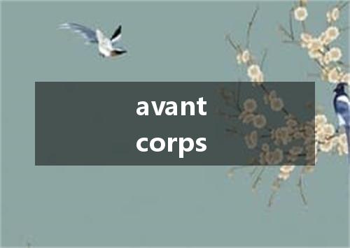 avant corps是什么意思