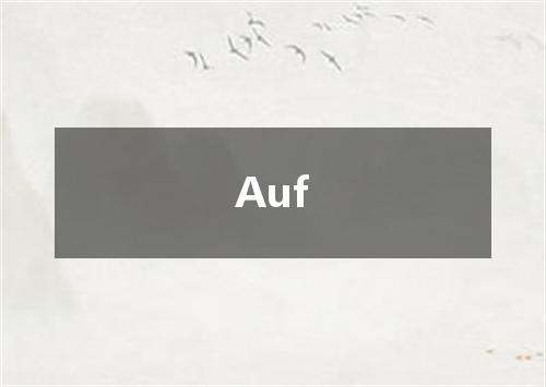 Auf是什么意思