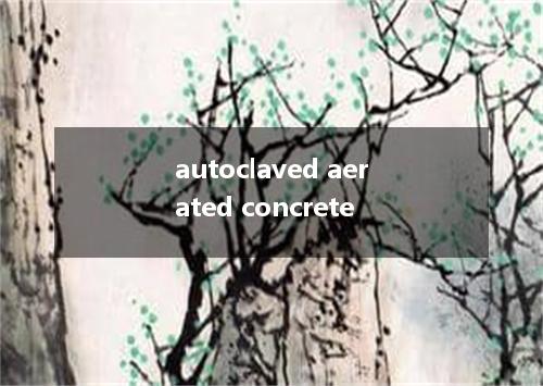autoclaved aerated concrete是什么意思