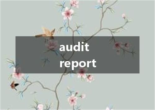 audit report是什么意思