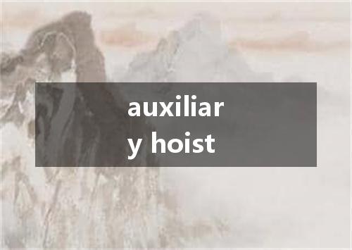 auxiliary hoist是什么意思