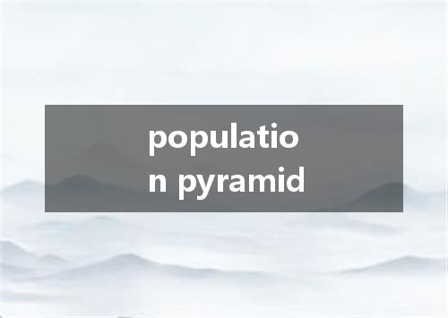population pyramid是什么意思