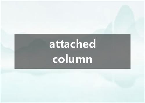 attached column是什么意思