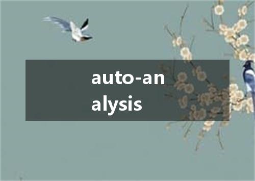 auto-analysis是什么意思