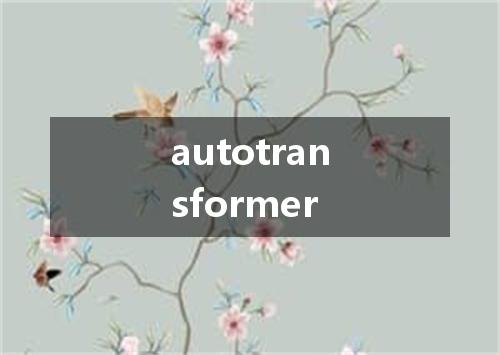autotransformer是什么意思
