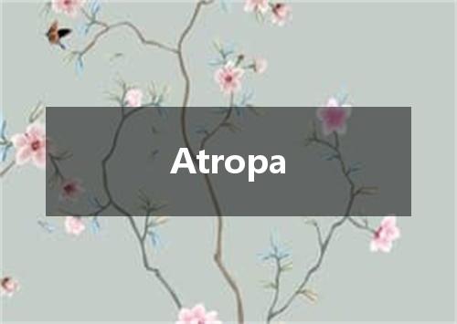 Atropa是什么意思