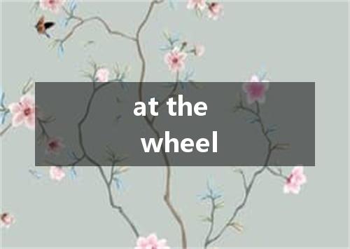 at the wheel是什么意思