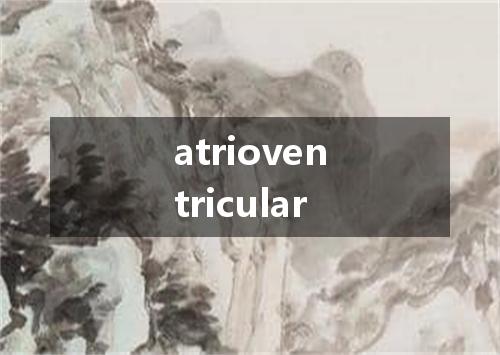 atrioventricular是什么意思