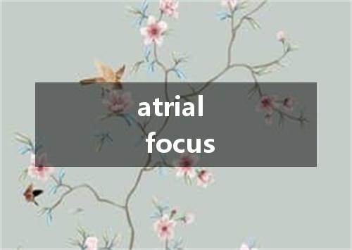 atrial focus是什么意思