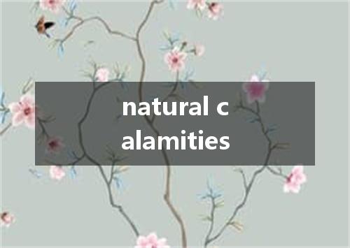 natural calamities是什么意思