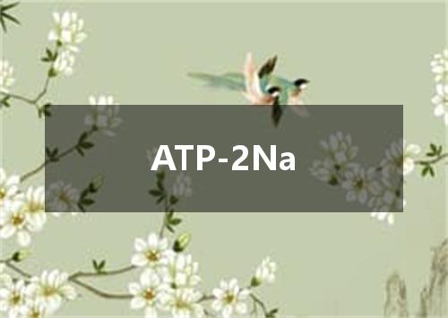 ATP-2Na是什么意思