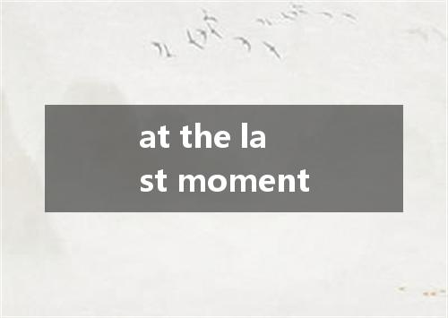 at the last moment是什么意思