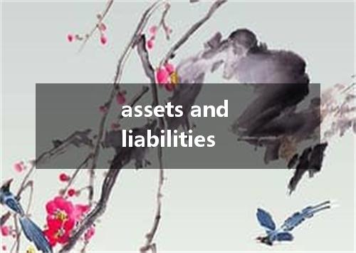 assets and liabilities是什么意思