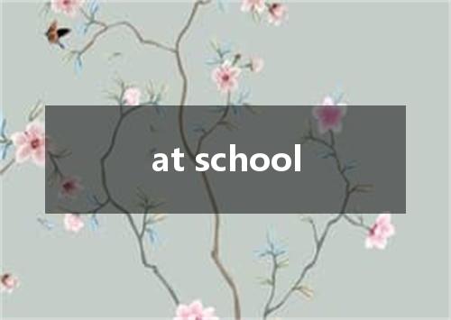 at school是什么意思