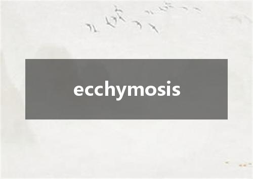 ecchymosis是什么意思