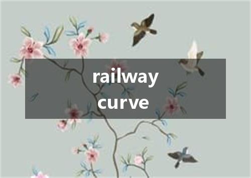 railway curve是什么意思