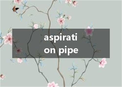 aspiration pipe是什么意思