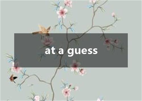 at a guess是什么意思