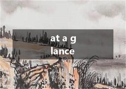at a glance是什么意思