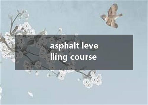 asphalt levelling course是什么意思