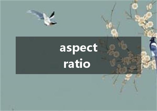 aspect ratio是什么意思
